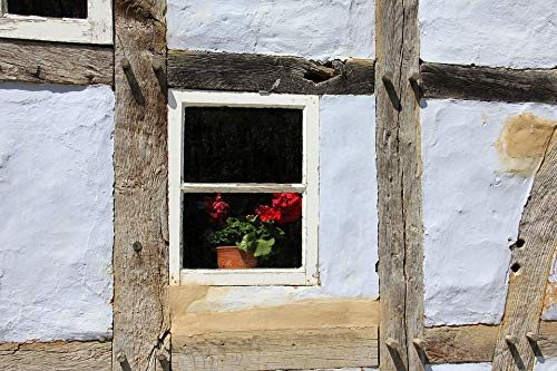 20x30 Inch Laminated Building Flower Window Fachwerkhaus Home Truss Poster - Vibrant Colors & High-Quality Print - Perfect for Living Room, Bedroom, Office & Cafe Wall Decor