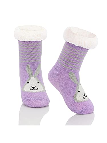 Purple Rabbit