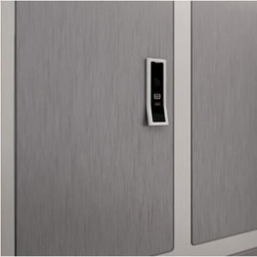 Thrislington Locker Vault - Secure Storage Cabinet for Home, Office & School - Durable Metal Lockers for Clothes, Books & Valuables | Perfect for Gym, Dormitory & Workplace Organization