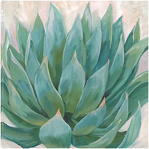 Succulent