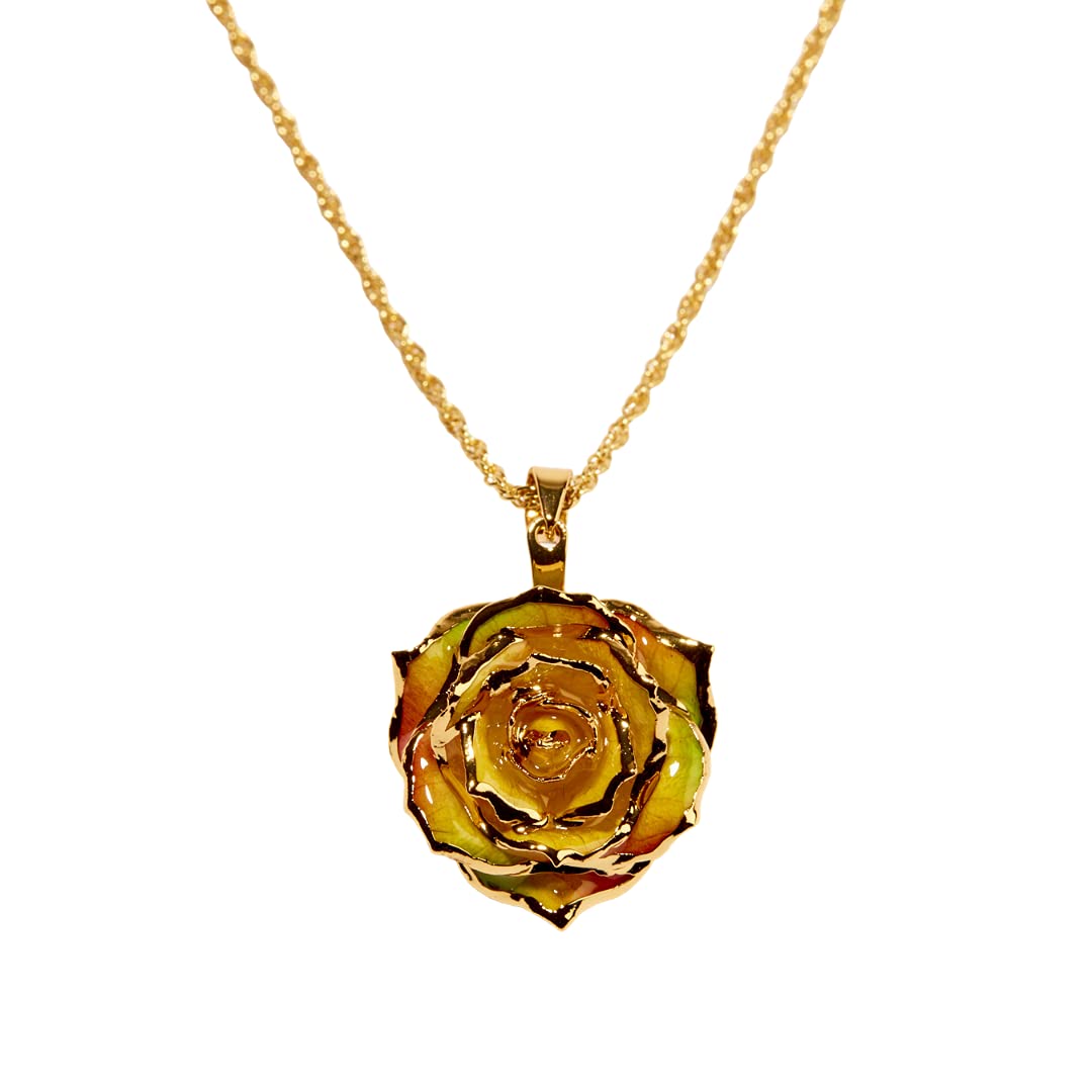 24K Gold Dipped Eternal Rose Necklace - Real Preserved Flower Jewelry for Women, Anniversary Gift, Valentine's Day Present, Wedding Proposal Keepsake - Perfect for Romantic Occasions & Special Moments