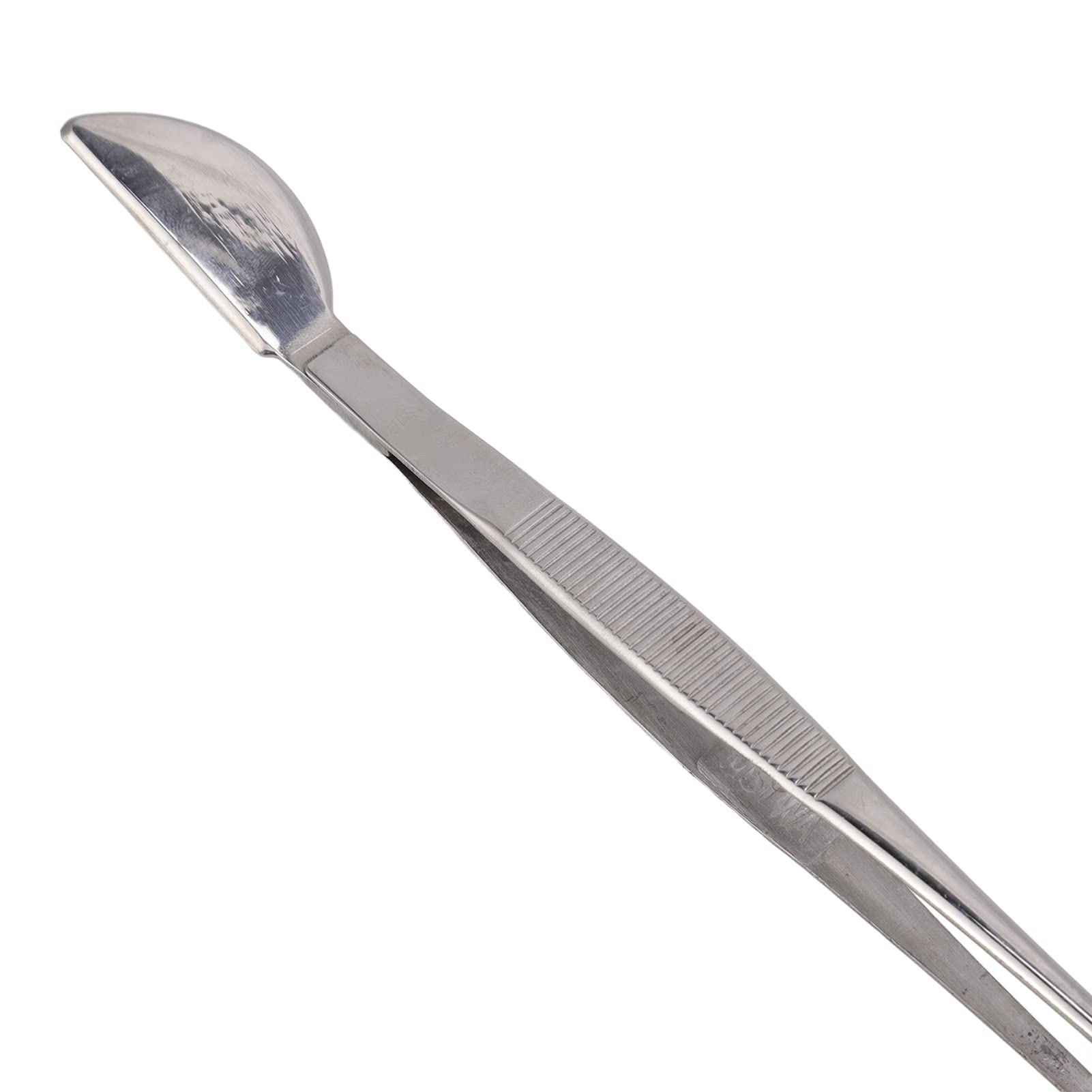 Fdit Stainless Steel Bonsai Tweezers - Long Handled Gardening Tool for Plants, Succulents & Precision Work | Straight Tip Design for Pruning, Repotting & Detailed Plant Care