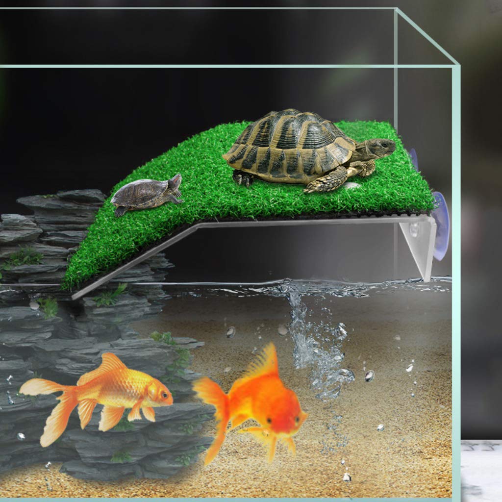 Turtle Basking Platform with Suction Cup | Tortoise Climbing Ladder | Aquarium Decor for Fish Tanks | Multi-Surface Mold Cleaner for Tiles, Walls & Showers | Ideal for Reptile Habitats & Bathroom Cleaning