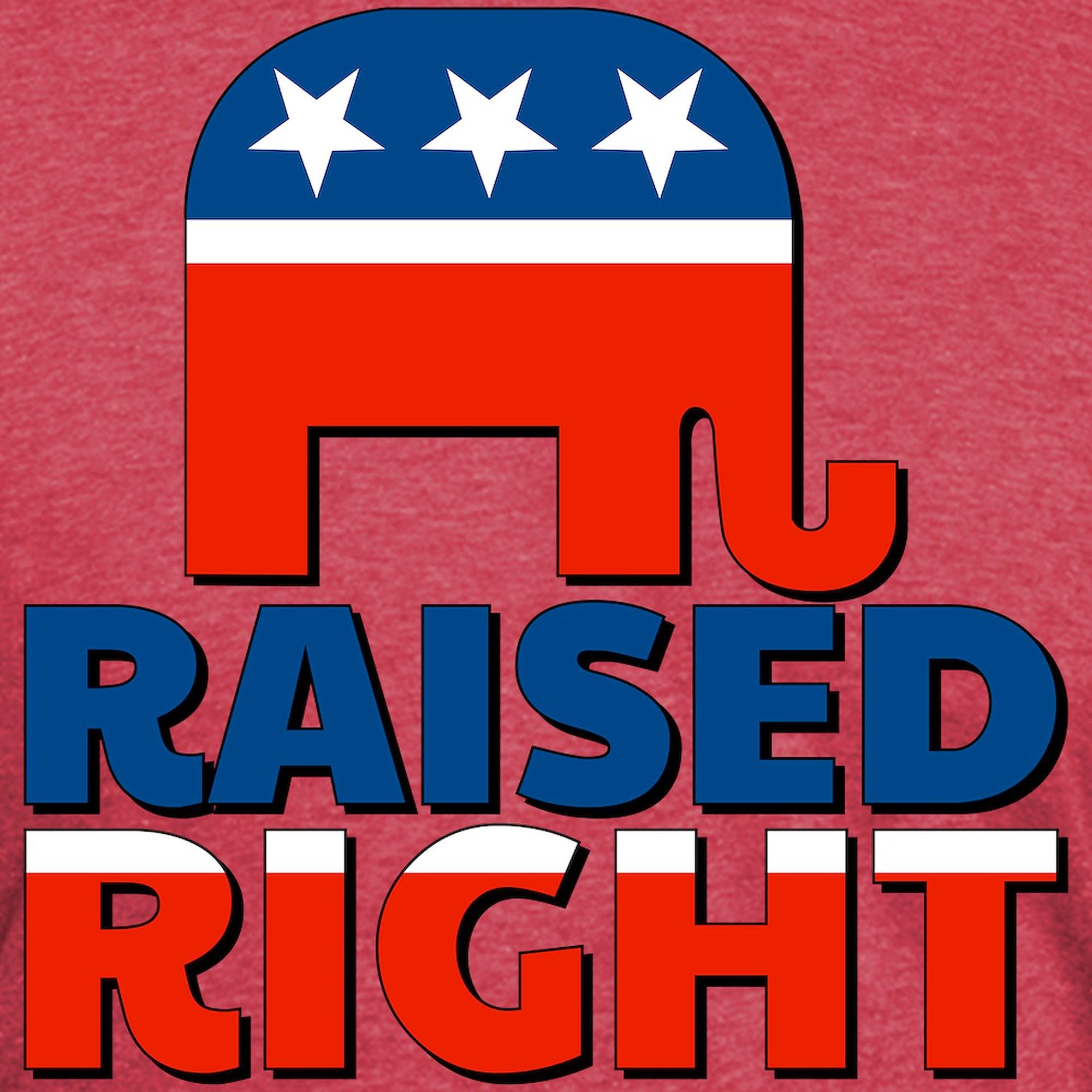 Raised Right Men's Premium Tri-Blend T-Shirt - Soft & Comfortable Cotton Blend Tee for Casual Wear, Gym, and Everyday Outfits