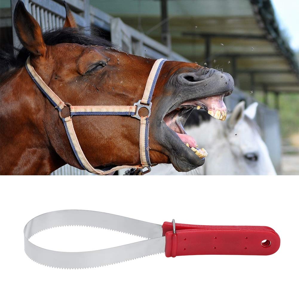 Premium Stainless Steel Dog Shedding Blade - Non-Slip Grooming Tool for Dogs & Horses - Multi-Purpose Deshedding Scraper for Effective Pet Hair Removal - Perfect for Grooming, Shedding Season & Outdoor Pet Care