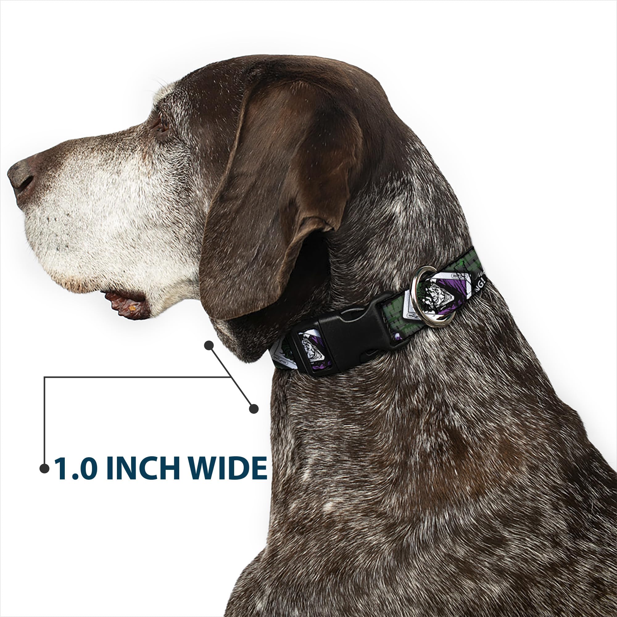 Buckle-Down Adjustable Dog Collar with Joker Card Design - 4 Fun Poses (Haha, Smile, Bang) in Gray, Green & Purple - 6 to 9 Inches Length, 0.5 Inch Width - Perfect for Halloween Costumes, Comic Con Events & Themed Pet Parties