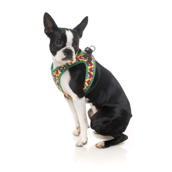 Fuzzyard Doggoforce Dog Step-in Harness - Adjustable & Comfortable for Small to Large Dogs (6 Sizes) | Perfect for Walking, Training & Outdoor Adventures