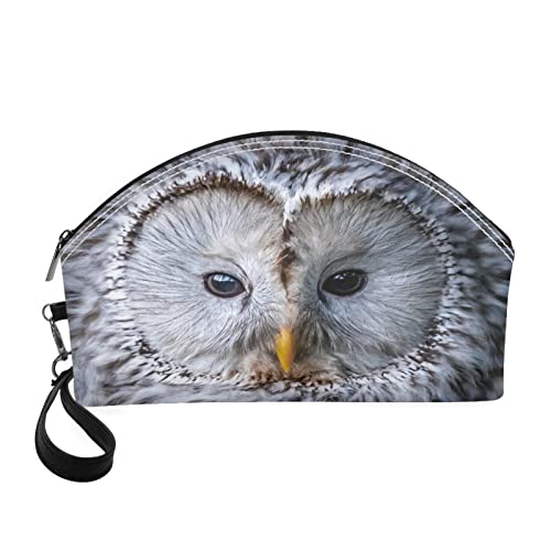 3d Owl