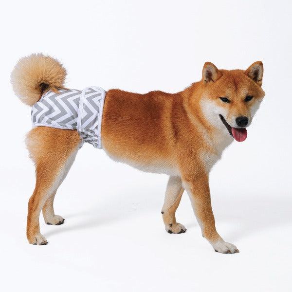 Washable Female Dog Diapers for Pets - Reusable & Absorbent Puppy Pants for Small to Medium Dogs - Perfect for House Training, Incontinence & Travel Use