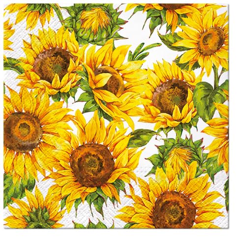 Daning sunflowers