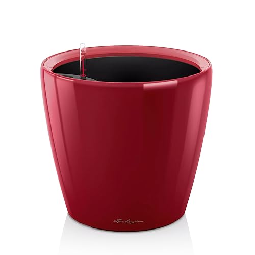 Red High-gloss