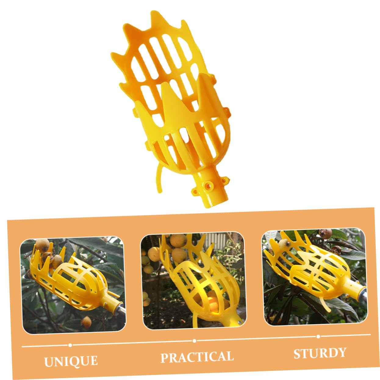 Cabilock Fruit Picker Tool with Basket & Extension Pole - Easy Assemble Lightweight Fruit Harvester for Apple, Orange, Peach Picking - Perfect for Home Garden, Orchard Harvesting & Tall Tree Fruit Collection