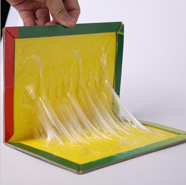 Sticky Insect Trap for Indoor & Outdoor Use - Large Yellow Glue Traps (6.5 x 8 Inch, Pack of 5) - Effective Pest Control for Flies, Mosquitoes, Gnats & Bugs - Perfect for Home, Kitchen, Garden & Greenhouse