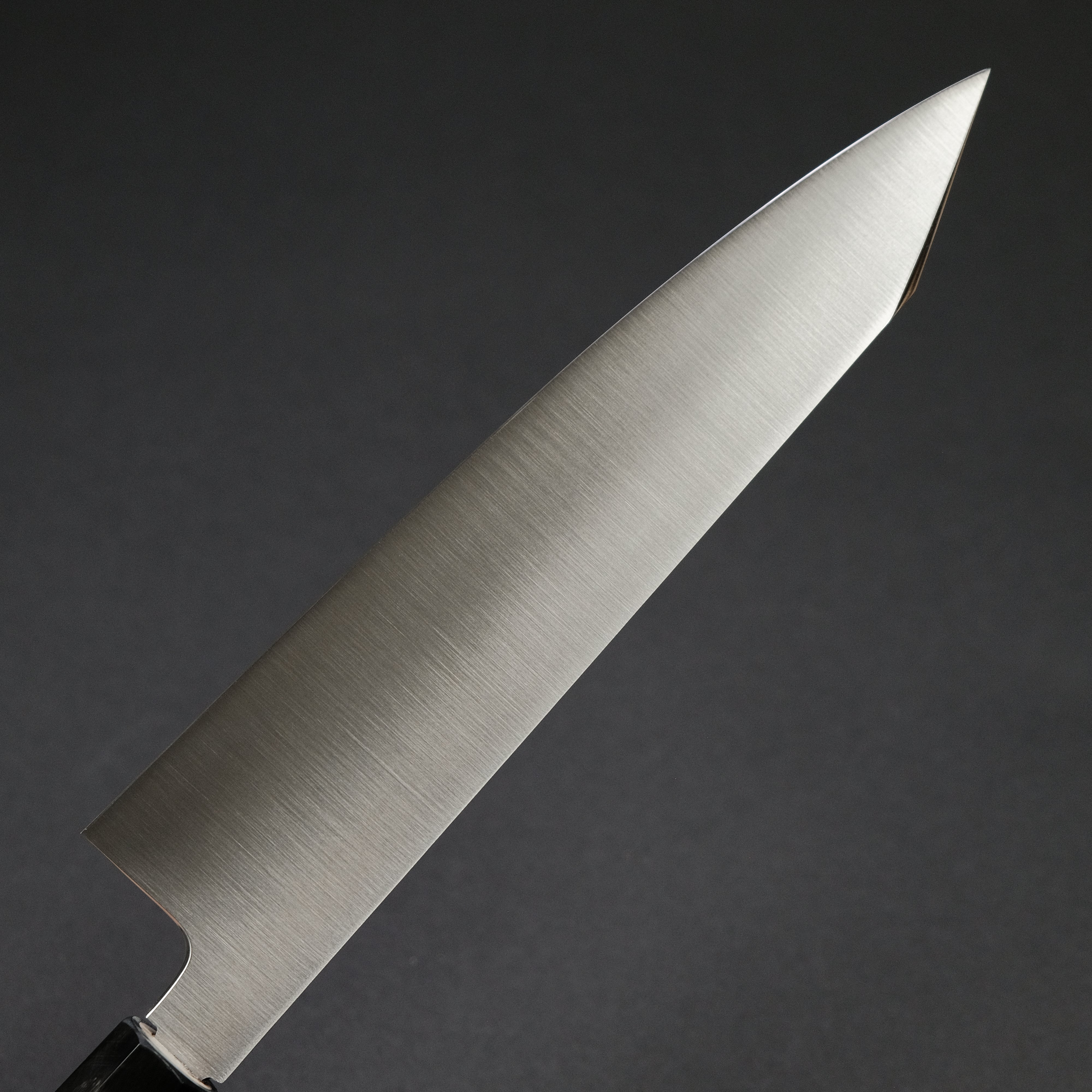 Hitohira FJ VG-10 Kiritsuke Gyuto Japanese Chef Knife 240mm - Premium Ho Wood Wa Handle - Perfect for Sushi, Sashimi & Precision Vegetable Cutting