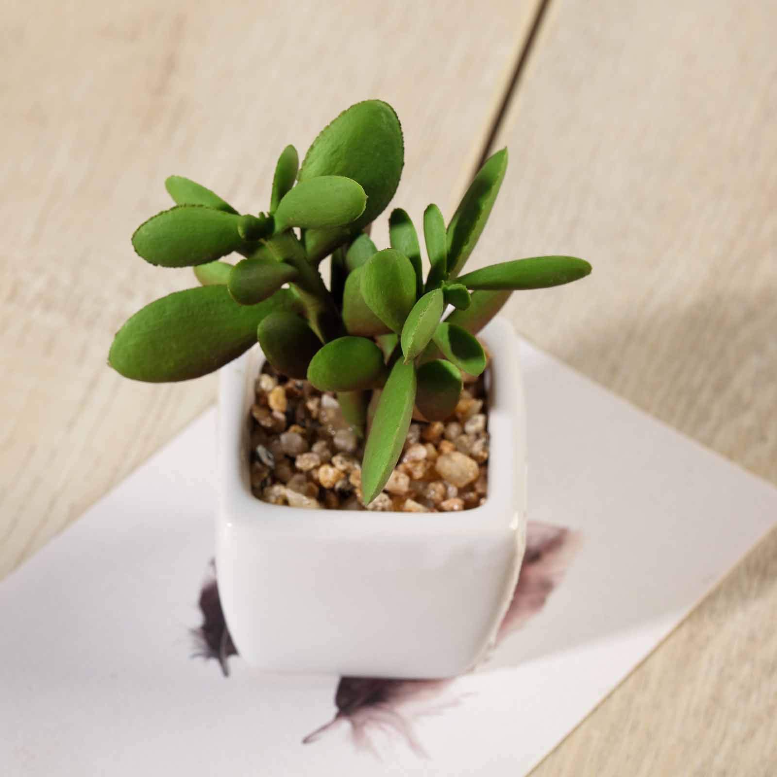 Artificial Succulent Plants Set of 3 - Mini Fake Jade Succulents in Ceramic Pots for Home Office Desk Decor, Wedding Centerpieces & Shelf Displays