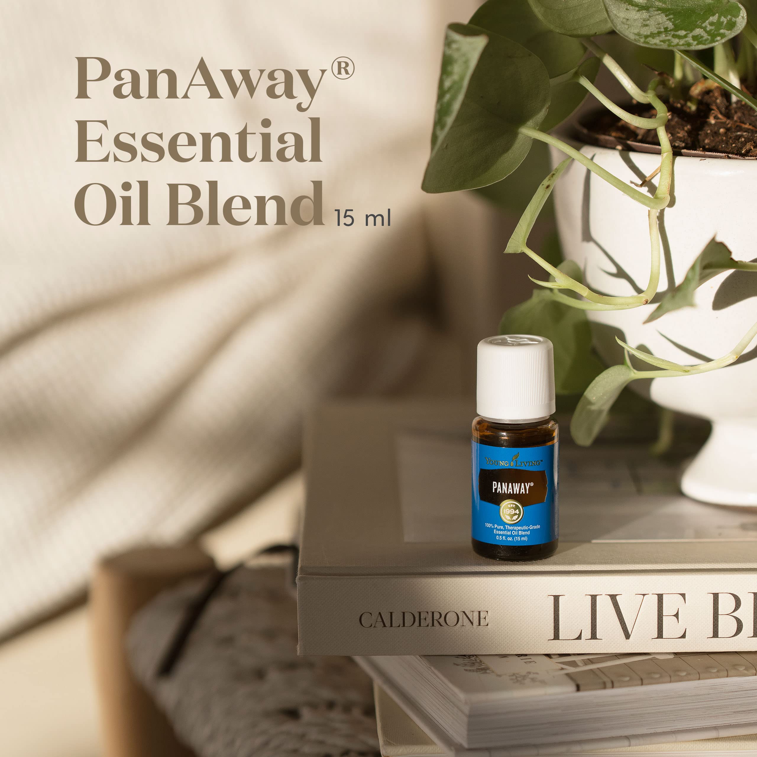 Young Living PanAway Essential Oil Blend - 15ml Clove Oil for Cooling & Soothing Relief | Travel & Camping Essential | Refreshing Aroma for Post-Workout Massage & Relaxation | Perfect for Athletes, Yoga & Outdoor Adventures