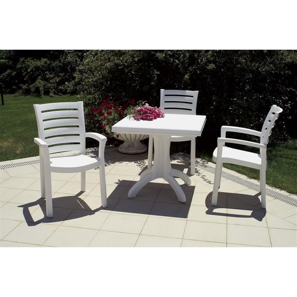 White Resin Patio Dining Arm Chairs (Set of 2) - Weatherproof Outdoor Furniture for Poolside, Garden, Deck & Backyard Dining