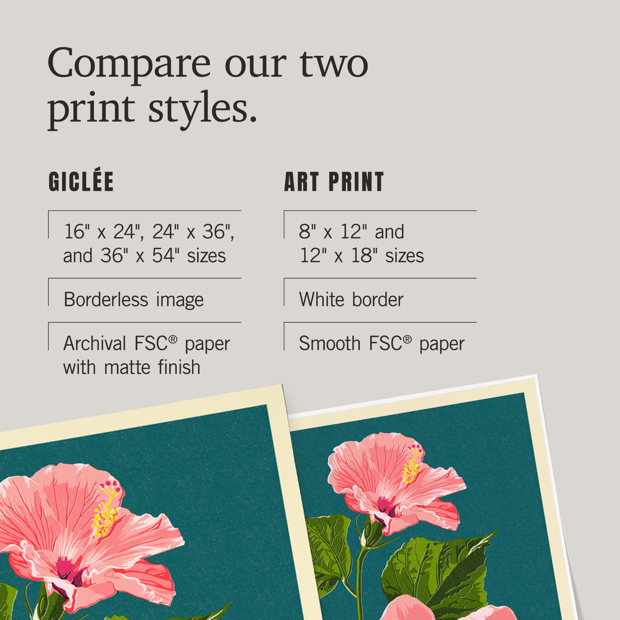 Lantern Press 16x24 Inch Pink Hibiscus Giclee Art Print - Premium Letterpress Wall Decor for Living Room, Bedroom & Office