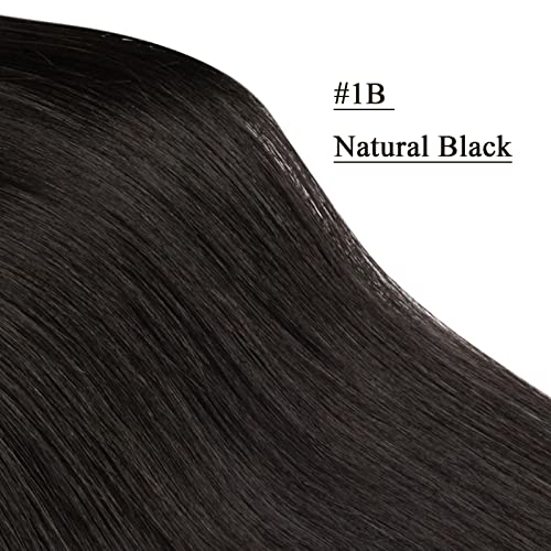 Natural Black #1B