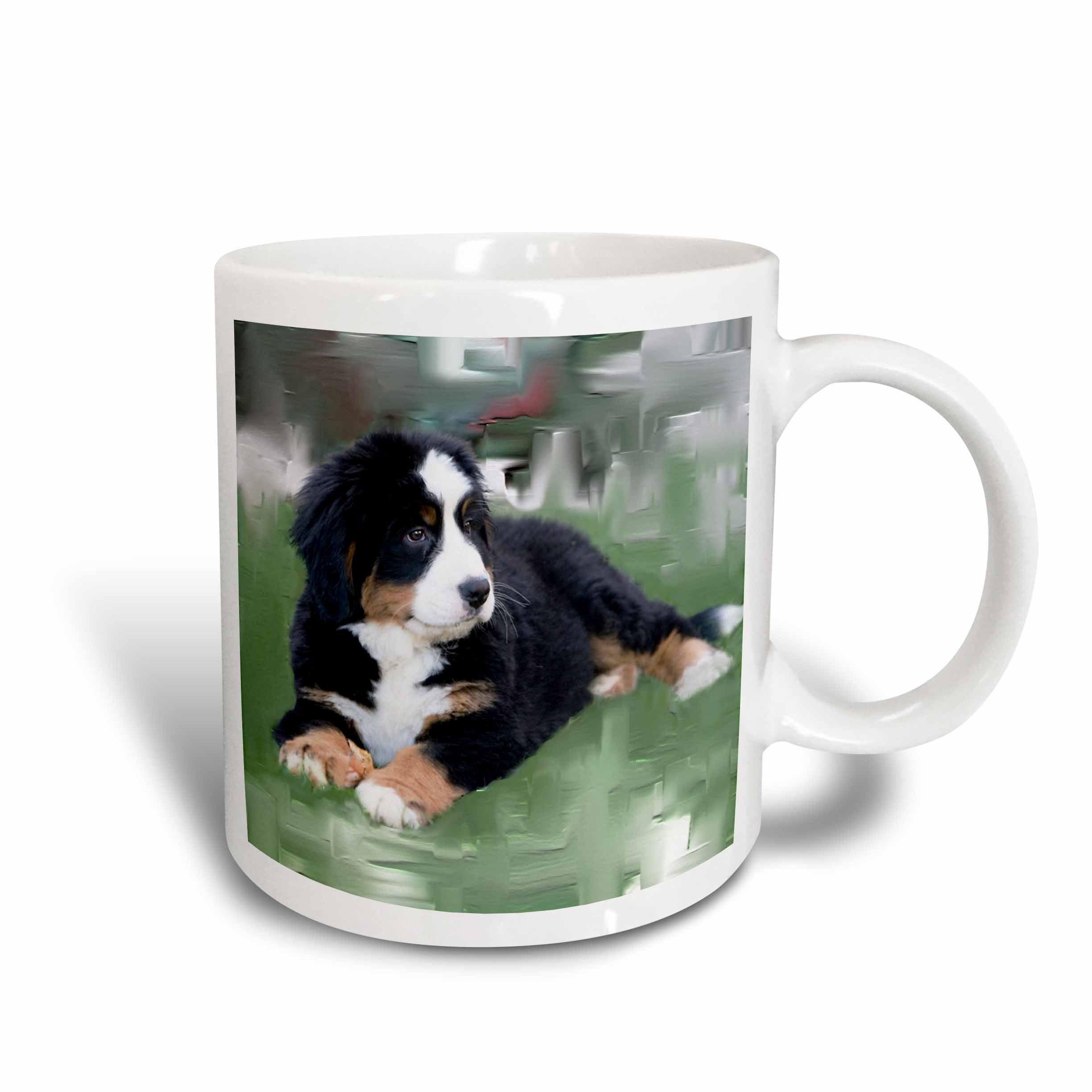 Bernese Mountain Dog Two Tone Red Ceramic Coffee Mug - 11 oz, Red & White - Perfect for Tea, Coffee, Hot Chocolate & Office, Home, Gift Use