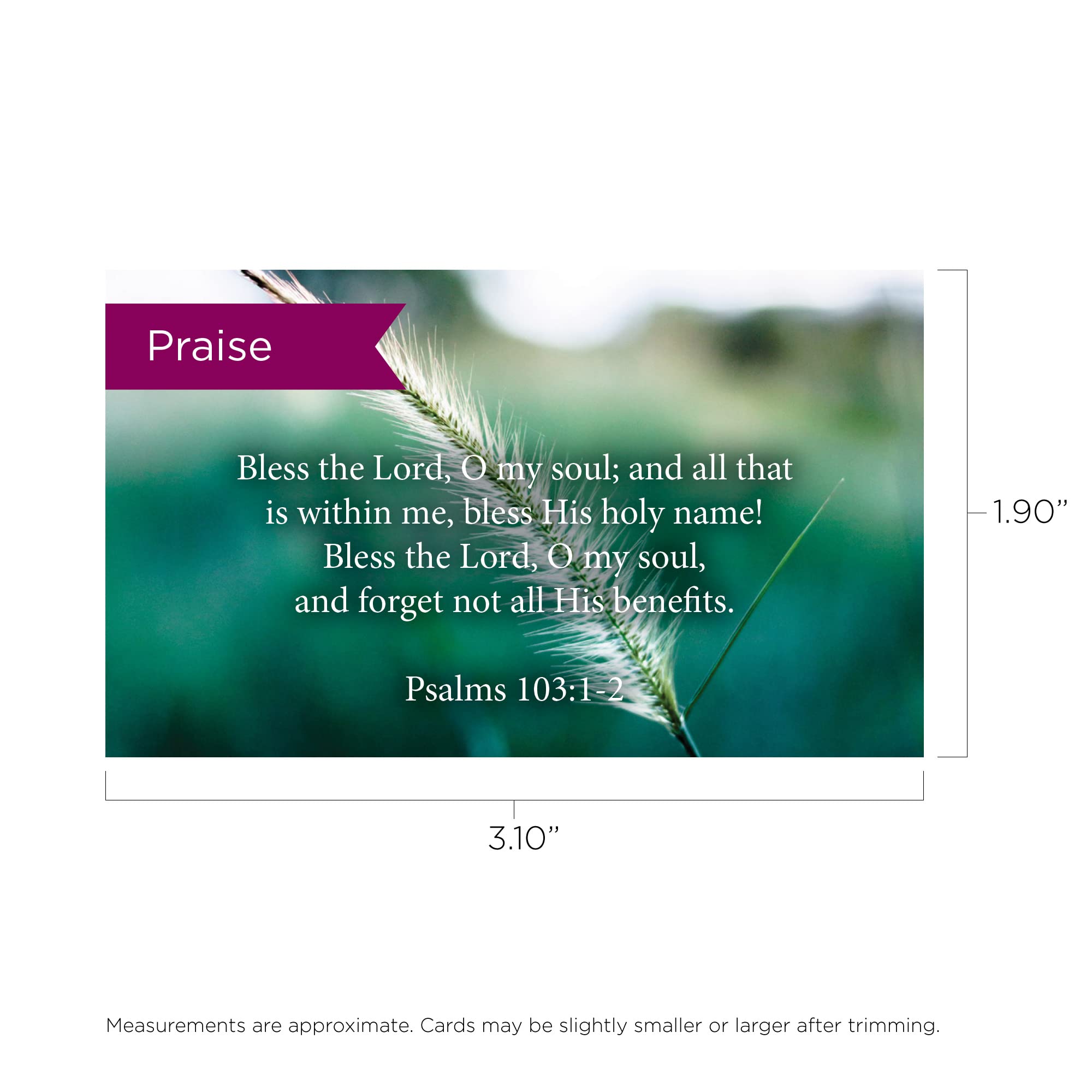 Pass It On Scripture Cards - Pack of 25 Inspirational Bible Verse Wallet Cards with Psalm 103:12 | Perfect for Christian Devotionals, Bible Study Groups, Scripture Memorization & Encouragement Gifts | Compact Greeting Cards for Church Events, Small Groups & Personal Faith Journey