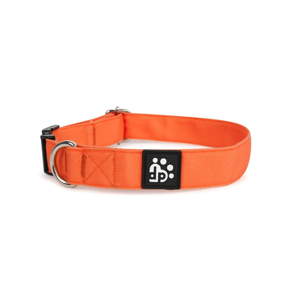 Dear Pet Classic Orange Dog Collar - Adjustable Nylon Collar for Small, Medium & Large Dogs | All Breeds & Life Stages | Medium Size | Perfect for Daily Walks, Training & Outdoor Adventures