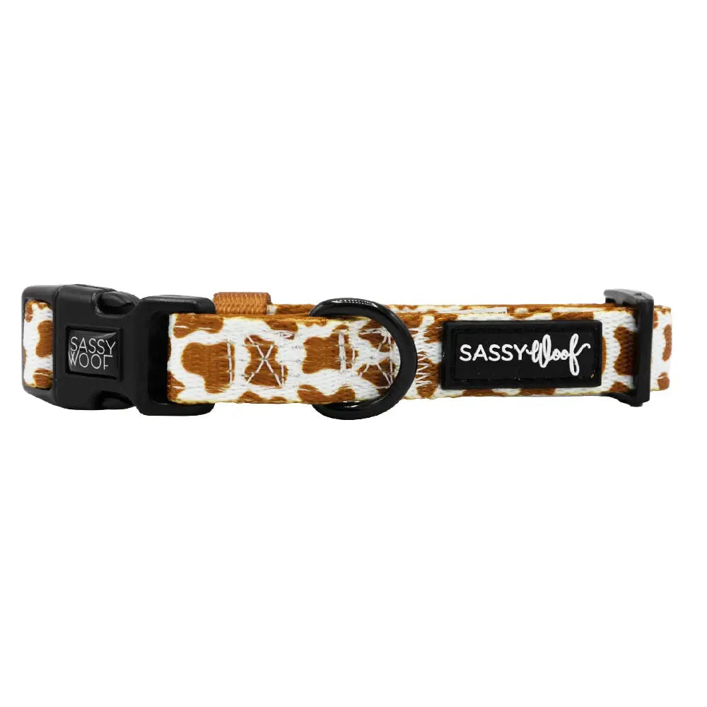 Premium Chocolate Milk Dog Collar - Adjustable & Comfortable Pet Collar for Small & Medium Dogs - Perfect for Walks, Training & Everyday Use