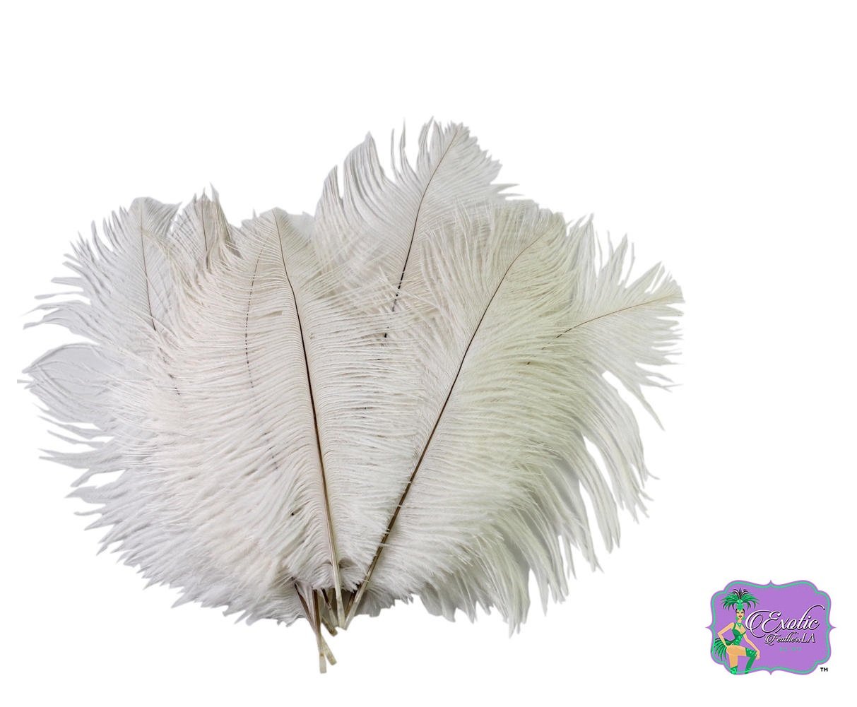 100 Pcs Premium Ostrich Feathers 15-18