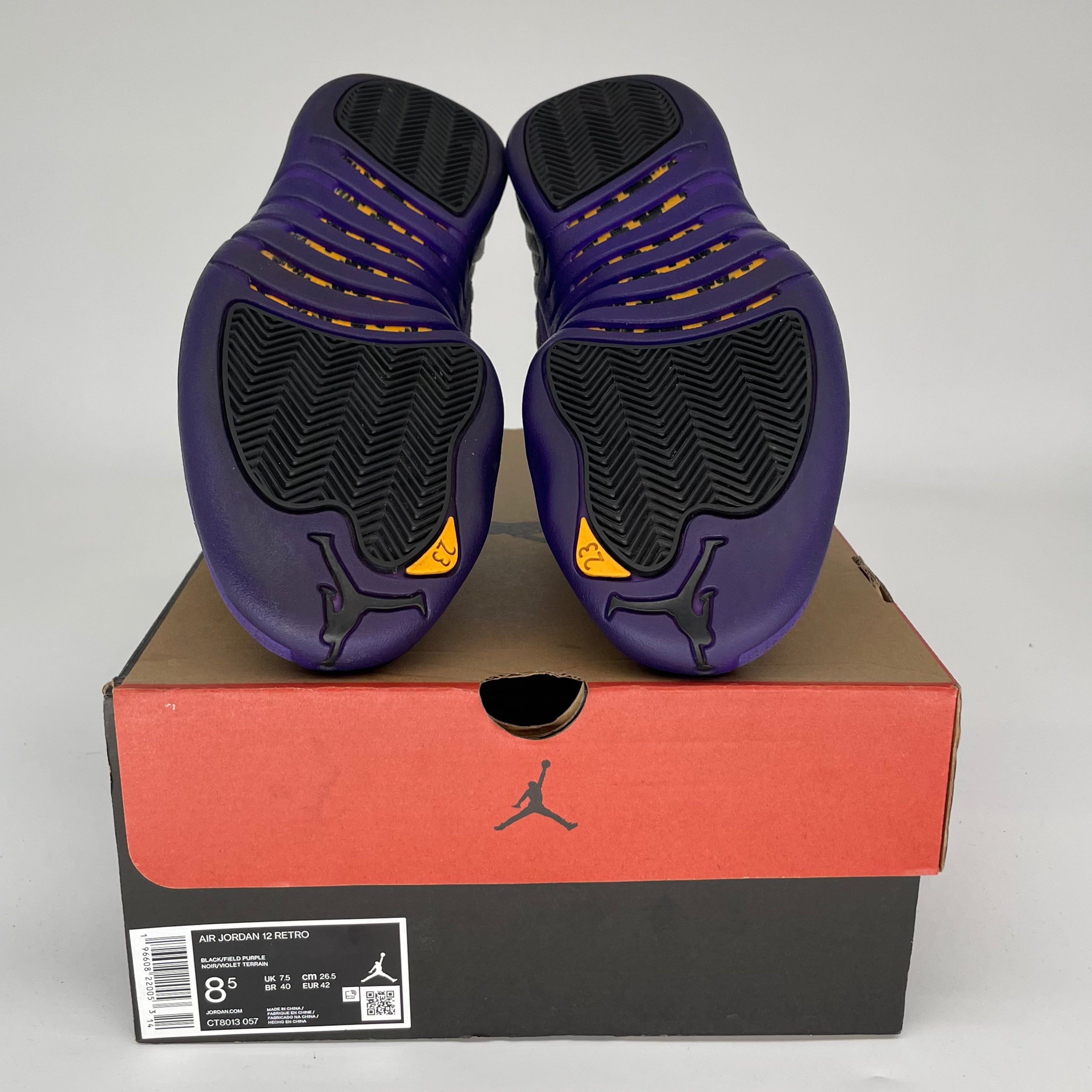 Air Jordan 12 Retro 