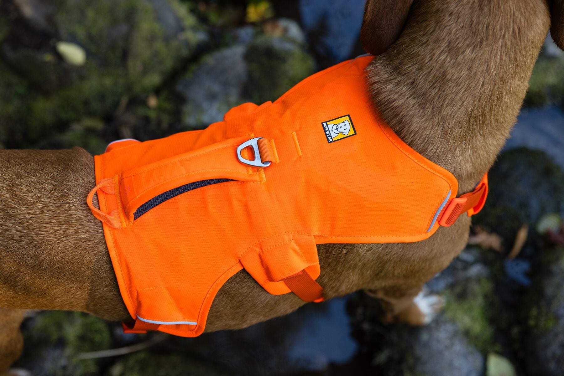 Ruffwear® Web Master™ Multi-Use Harness with Handle & Anti-Pull System - Blaze Orange - Perfect for Hiking, Running & Outdoor Adventures with Your Dog