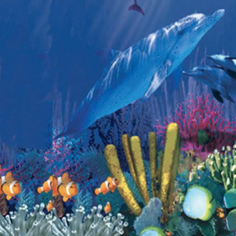 Antilles Dolphin
