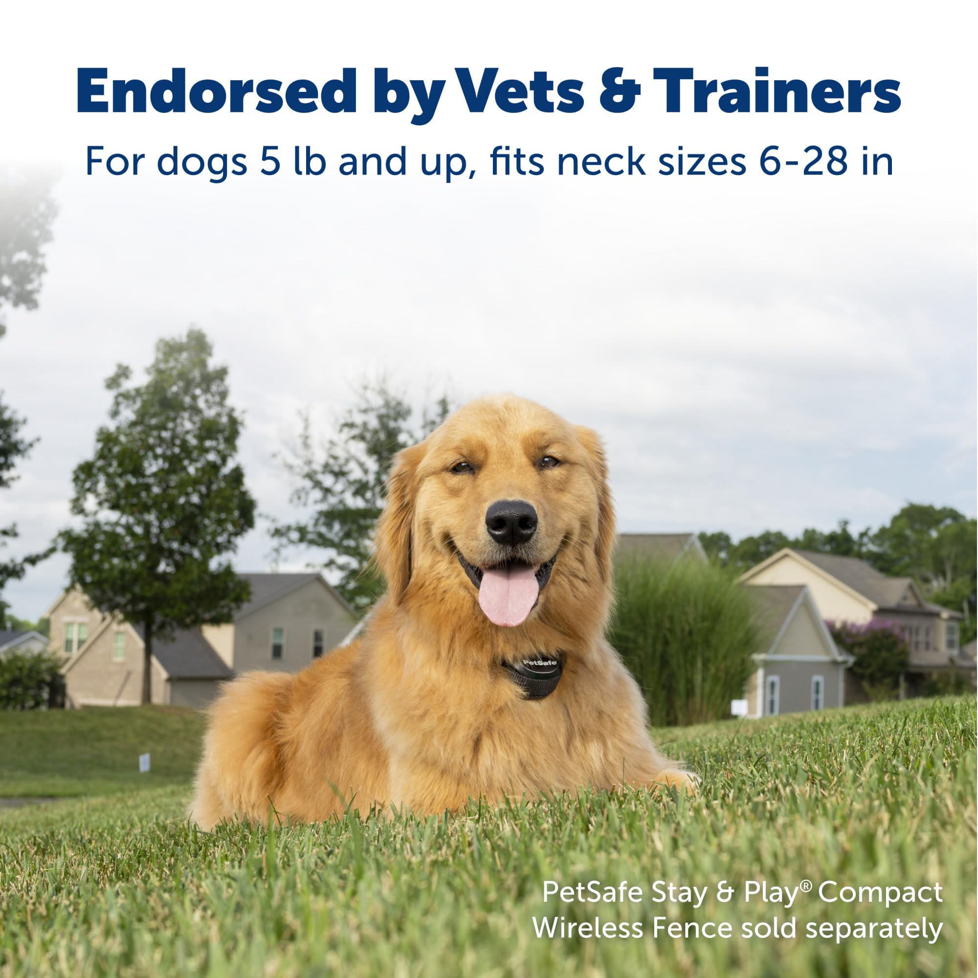 PetSafe Stay & Play Wireless Dog Fence System - Rechargeable Waterproof Collar for Dogs, Compatible with All PetSafe Wireless Fences, Invisible Pet Containment Solution (Black) - Perfect for Backyard, Garden & Outdoor Pet Safety