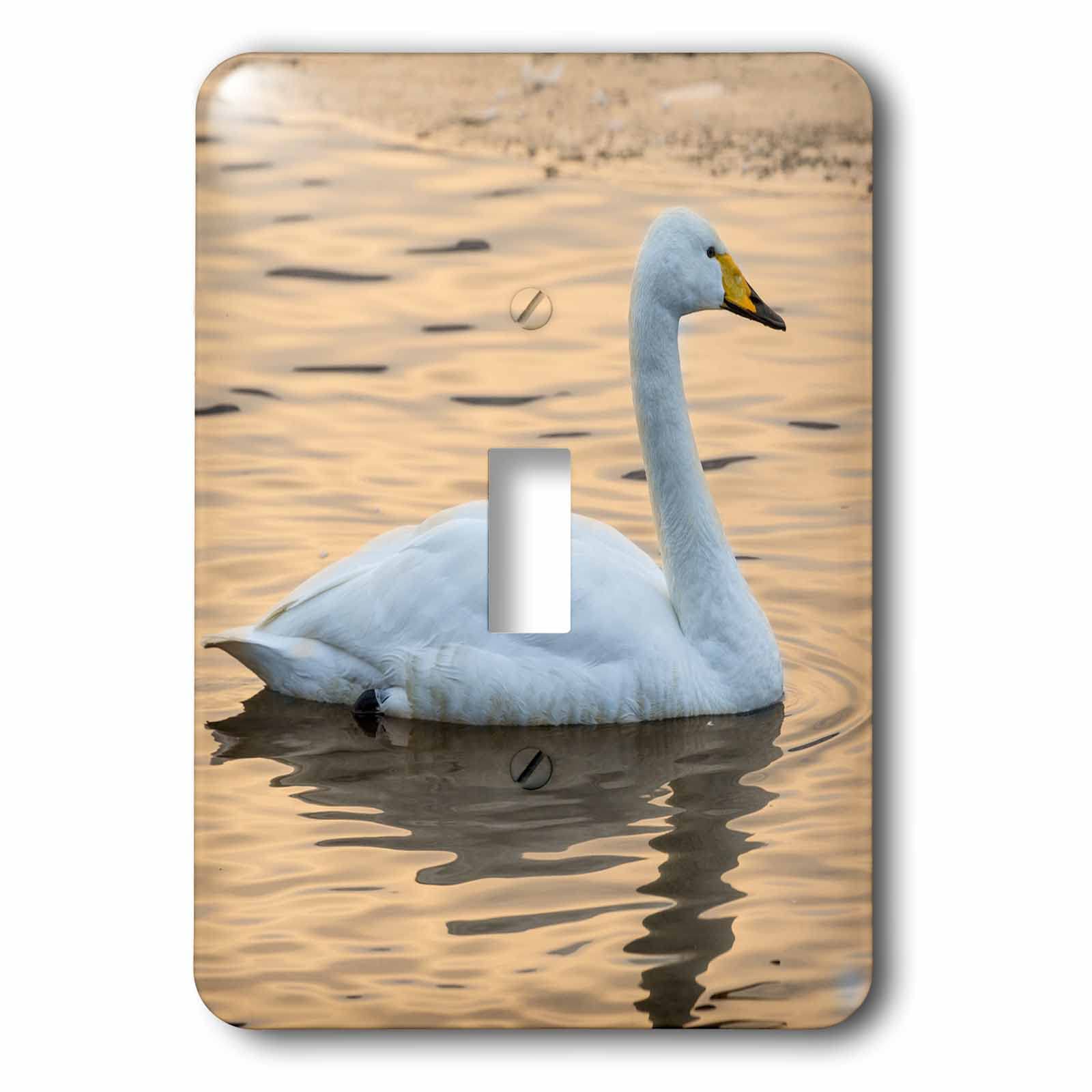3D Printed Light Switch Cover - Whooper Swans on Frozen Lake Kussharo, Hokkaido Japan - Decorative Wall Plate for Bedroom, Living Room, Office (Single or Double Toggle)