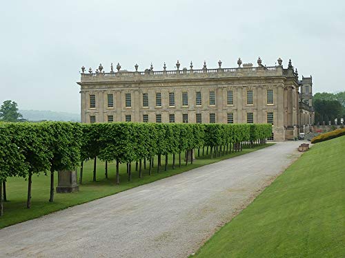 20x30 Inch Laminated Vintage Chatsworth House England Poster - Vibrant Colors & HD Imagery - Perfect for Home Decor, Office Wall Art & Gift Ideas
