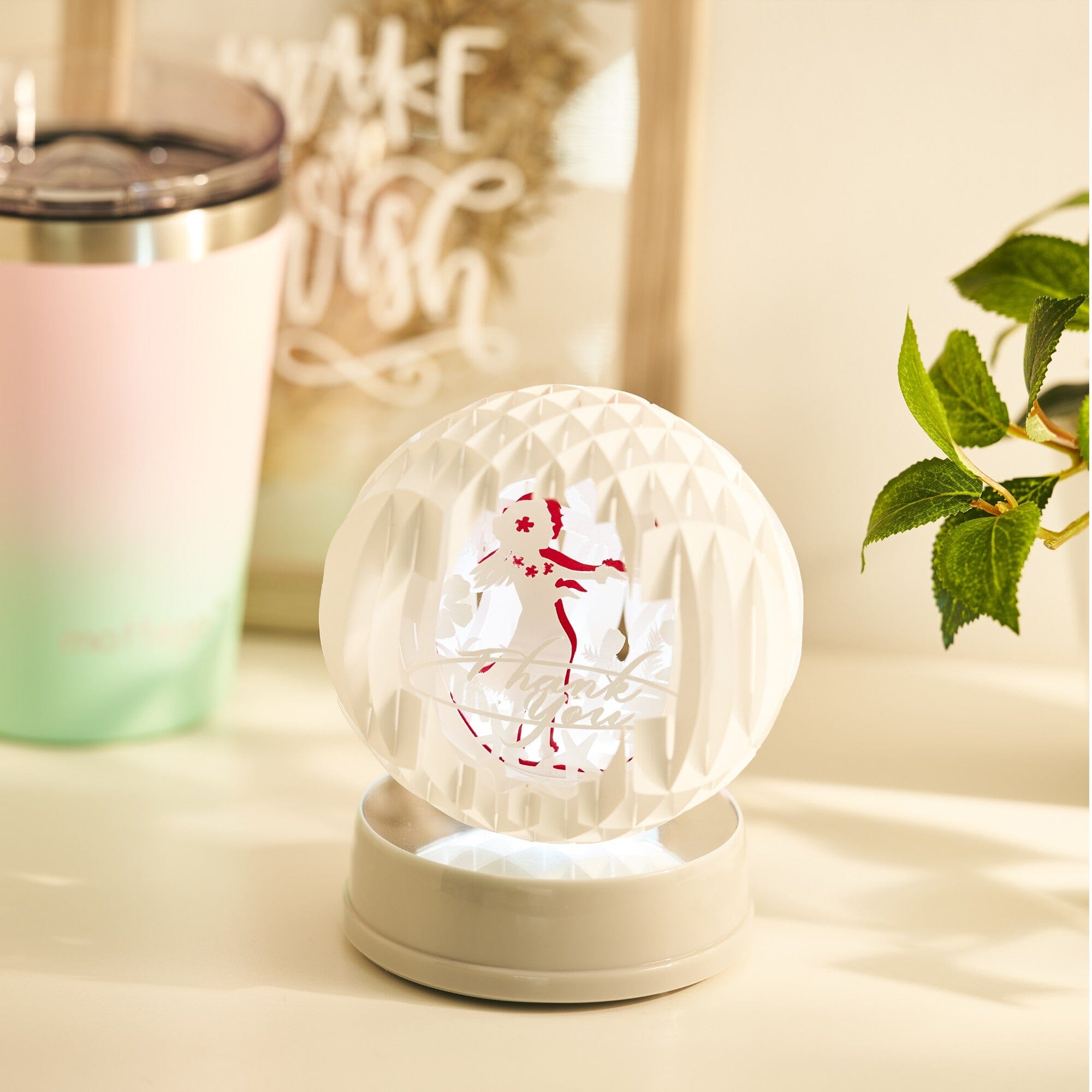 Silhouette Cameo 5 - 12
