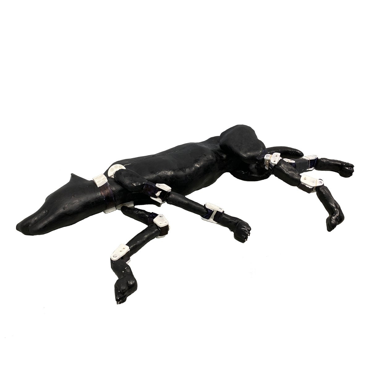 Female Dog Phantom for X-Ray, CT & MRI Imaging - High-Quality Veterinary Training & Diagnostic Tool for Accurate Scans