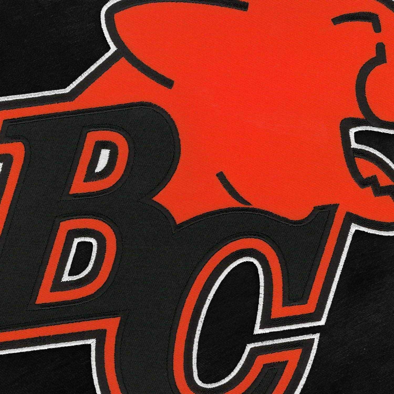 BC Lions CFL Express Twill Logo Hoodie Sweatshirt - Official Team Apparel for Football Fans & Game Day Outfits