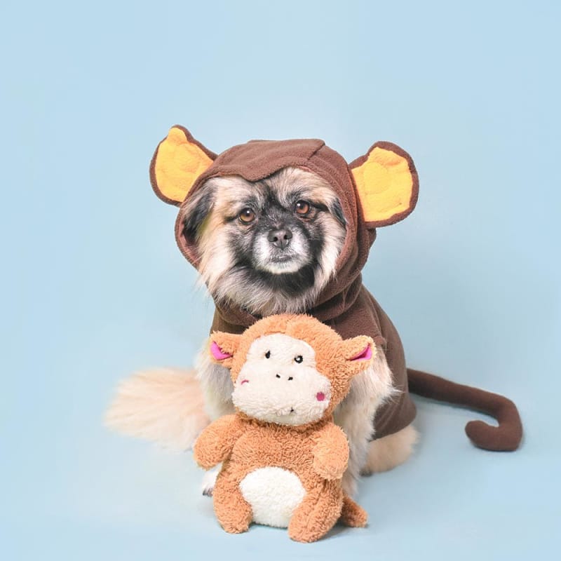 ZippyPaws Cheeky Chumz Monkey Plush Dog Toy - Interactive Squeaky Pet Toy for Small & Medium Dogs - Perfect for Playtime, Training & Cuddling