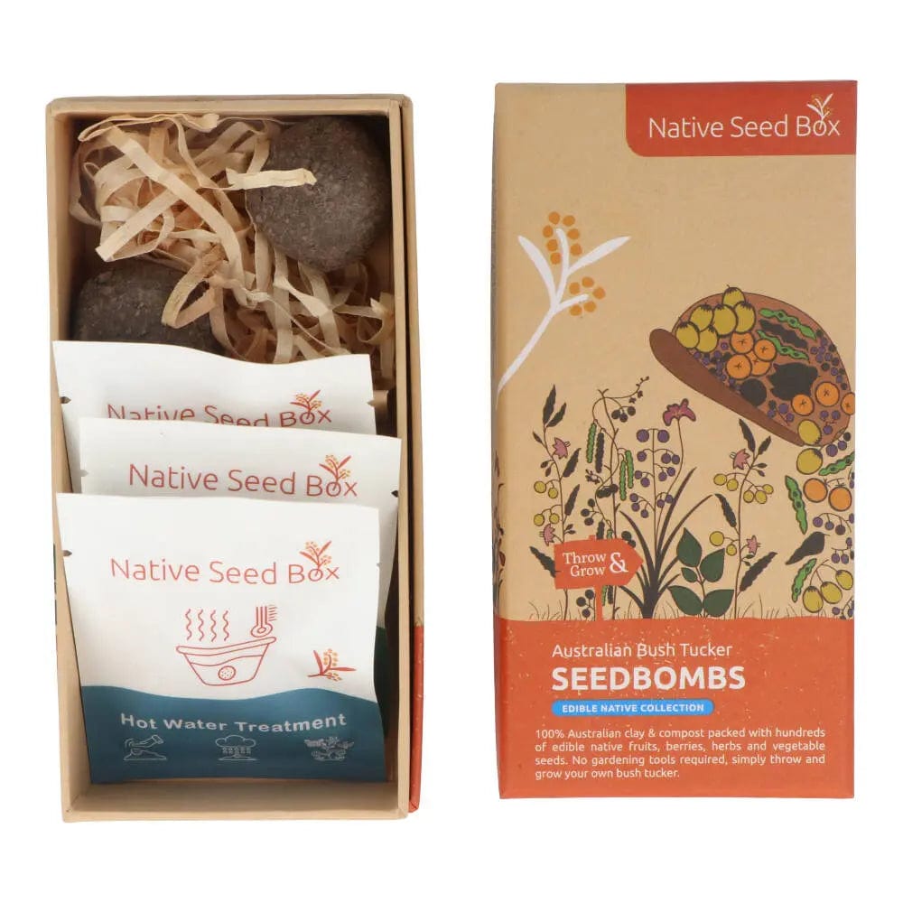 Native Seed Box Seed Bomb Collections - Wildflower & Herb Seed Bombs for Eco-Friendly Gardening, Pollinator Gardens & DIY Landscaping