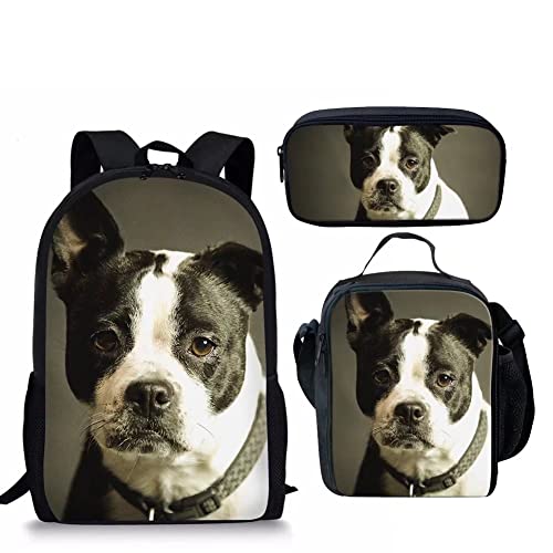 Pet Dog-3pcs