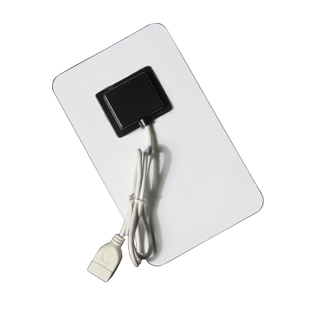 2W Portable Solar Panel with USB Output - Lightweight & Flexible Solar Charger for Phones, Camping, Hiking & Outdoor Activities