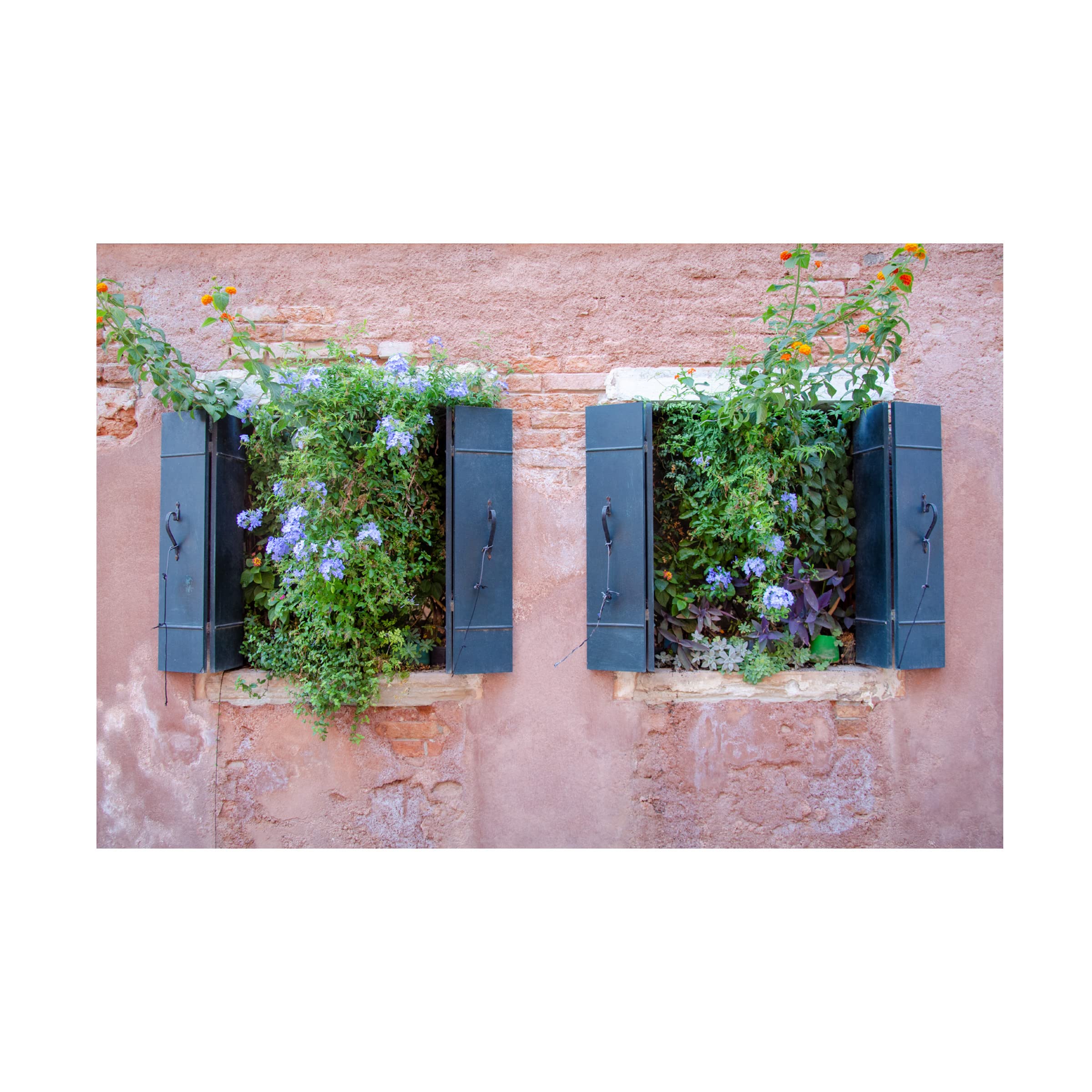 Laura DeNardo Italian Window Flowers II Canvas Art Print - Handmade Floral Wall Decor for Living Room, Bedroom & Office - Perfect Gift for Home & Wedding Decor