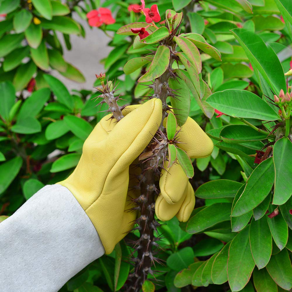 Rose Pruning Gloves - Thorn Proof Gardening Gauntlets for Men & Women | Goatskin Leather Cactus Gloves | Perfect for Rose Bushes, Cactus Care & Landscaping | Ideal Gardening Gift (Small)