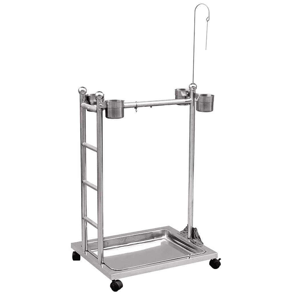 Stainless Steel Parrot Play Gym & Bird Playstand with Swing, Food Tray & Carrier - Durable Conure Toys for Tabletop Play | Perfect for Parrots, Cockatiels & Small Birds | Indoor & Outdoor Use