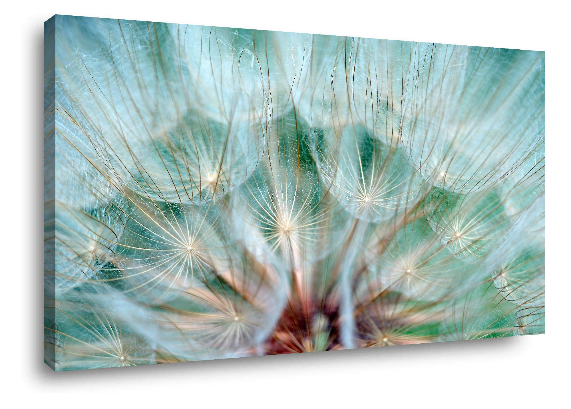 Dandelion Canvas Print 24x48 - Floral Wall Art for Bedroom, Bathroom & Living Room Decor