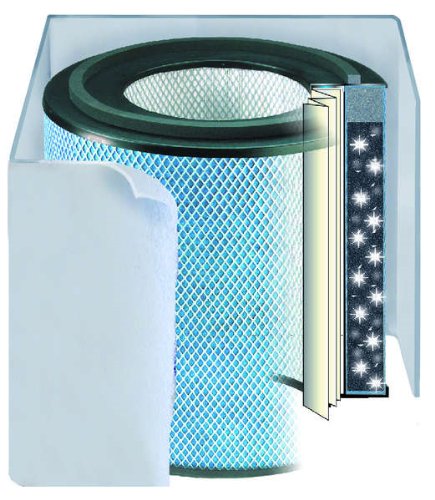 Austin Air Black HealthMate Plus Junior Replacement Filter FR250A - HEPA Air Purifier Filter for Kids' Rooms, Allergies & Asthma Relief
