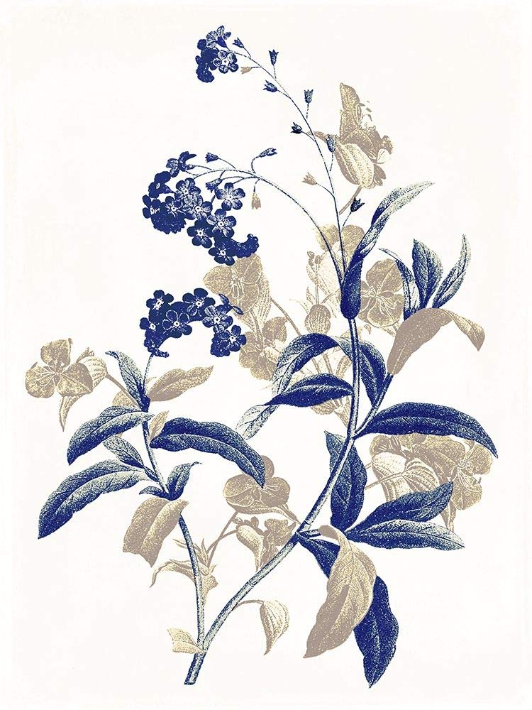 Indigo Flowers Two Jace Grey Poster Print - Vibrant Multicolor Wall Art for Home, Office & Bedroom Decor