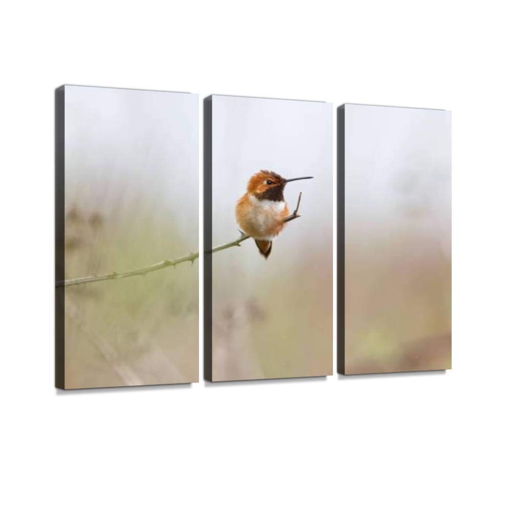 Blaverr 3-Panel Wall Art Set - Modern Canvas Prints of Male Rufous Hummingbird for Home Decor | Ready to Hang Living Room & Bedroom Wall Decor | Perfect for Nature Lovers & Contemporary Interior Design