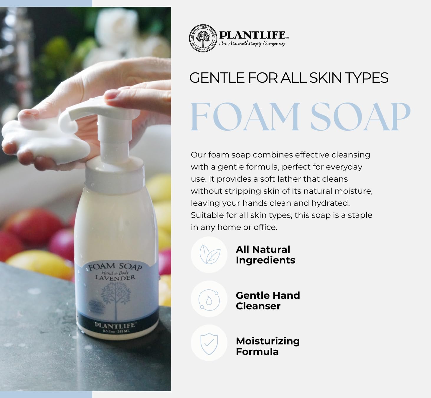 Plantlife Value Set - Patchouli Foam Soap | Natural Hand Wash for Dry Skin | Perfect for Bathroom, Kitchen & Office Use