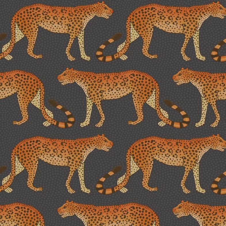 Cole and Son Leopard Walk Wallpaper in Charcoal & Orange - Vintage Animal Print Design for Living Room, Bedroom, or Home Office Decor